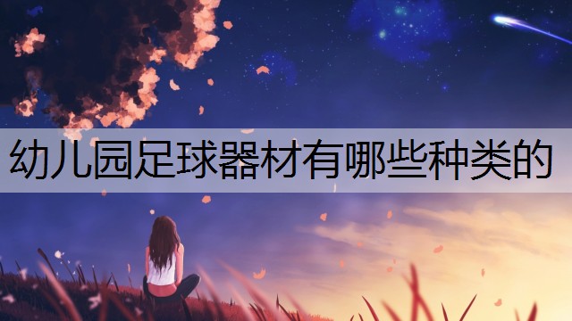 幼儿园足球器材有哪些种类的