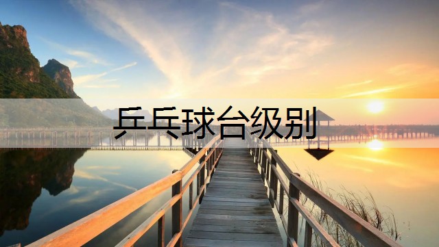 乒乓球台级别