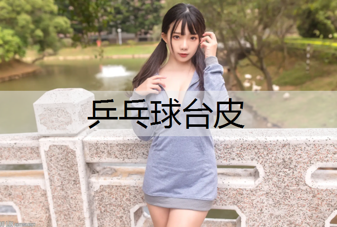 乒乓球台皮