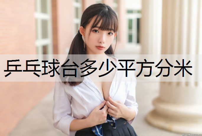 乒乓球台多少平方分米
