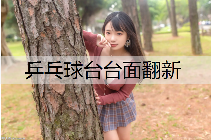 乒乓球台台面翻新