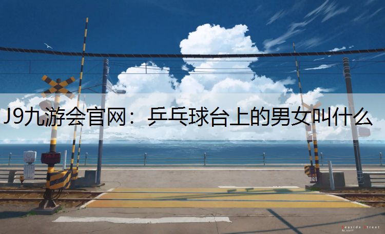 J9九游会官网：乒乓球台上的男女叫什么