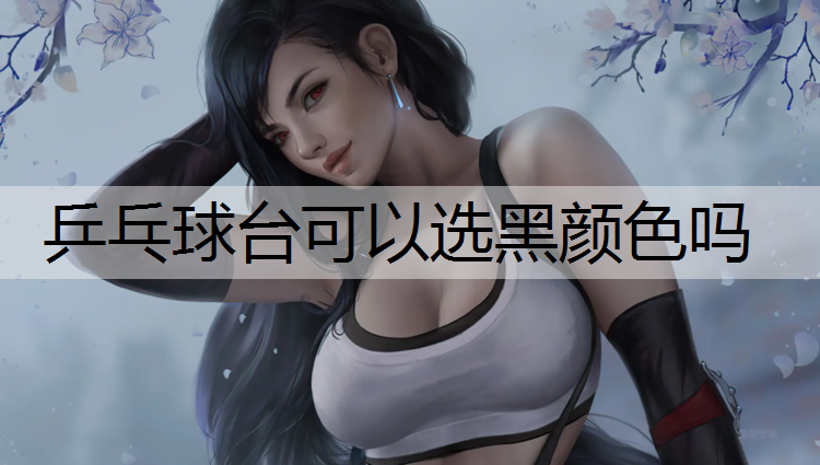 乒乓球台可以选黑颜色吗