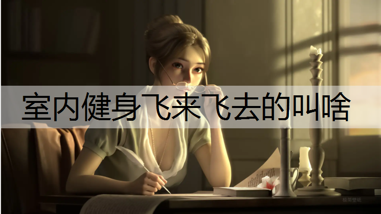 室内健身飞来飞去的叫啥