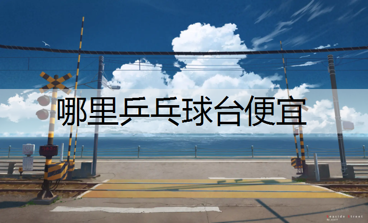 哪里乒乓球台便宜