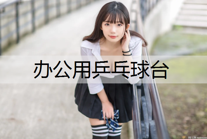办公用乒乓球台