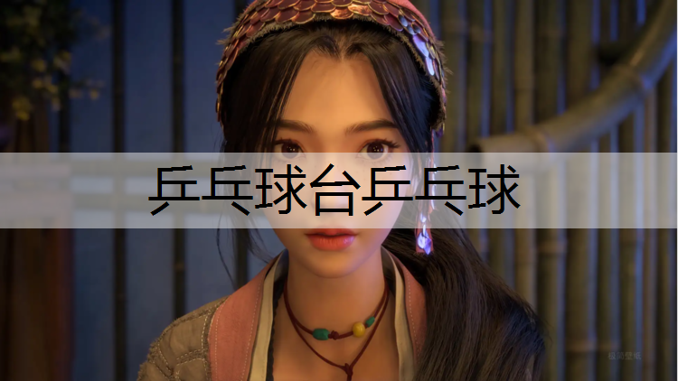 乒乓球台乒乓球