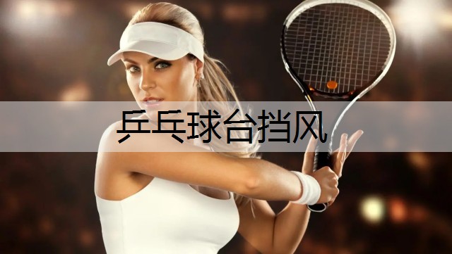 乒乓球台挡风