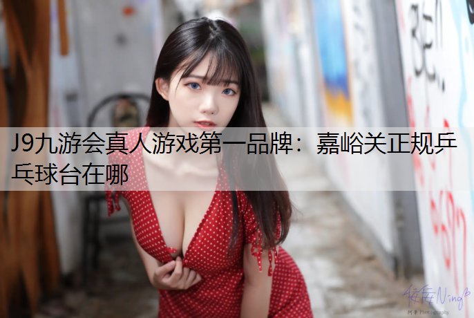 嘉峪关正规乒乓球台在哪