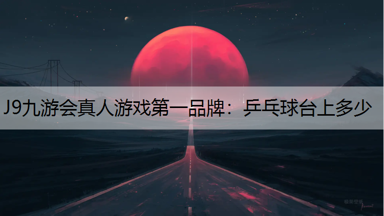 乒乓球台上多少
