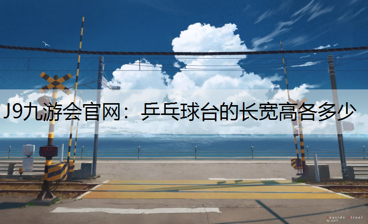 乒乓球台的长宽高各多少