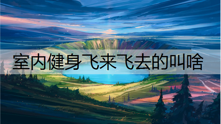 室内健身飞来飞去的叫啥